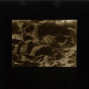 Böhl glass slide 62./1928